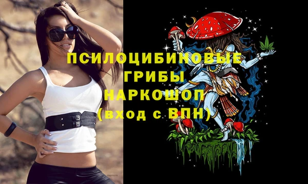 spice Алзамай