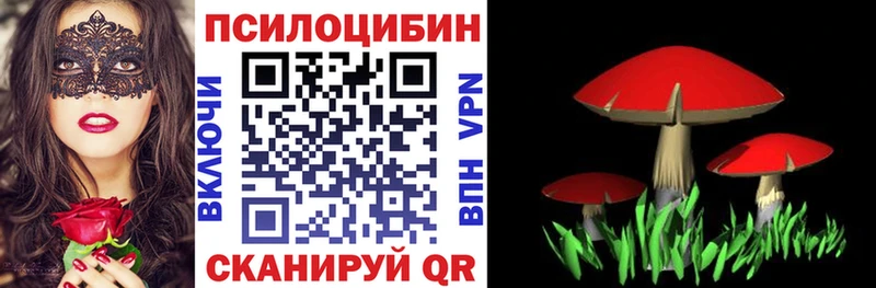 Псилоцибиновые грибы Cubensis  купить наркотик  Челябинск 